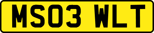 MS03WLT