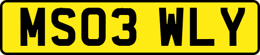 MS03WLY