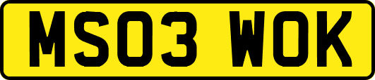 MS03WOK
