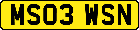 MS03WSN