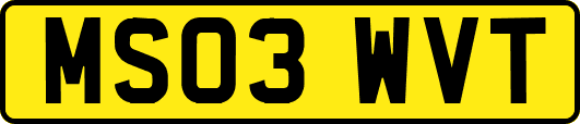 MS03WVT
