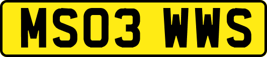 MS03WWS