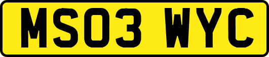 MS03WYC