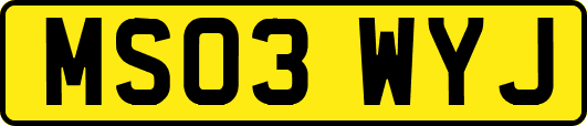 MS03WYJ
