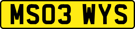 MS03WYS