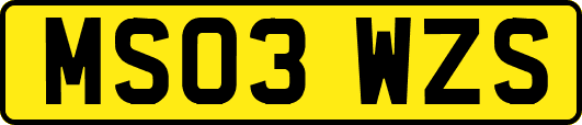 MS03WZS
