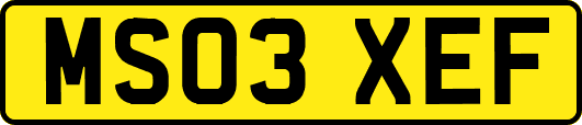 MS03XEF