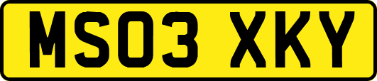MS03XKY