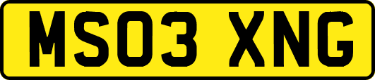 MS03XNG