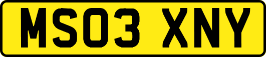 MS03XNY