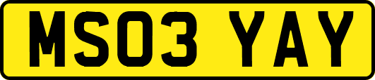 MS03YAY