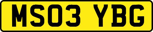 MS03YBG