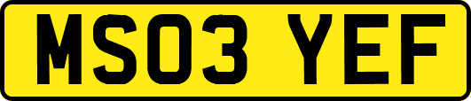 MS03YEF
