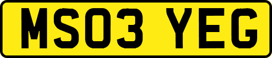 MS03YEG