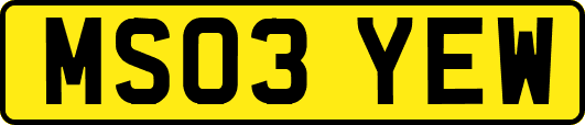 MS03YEW