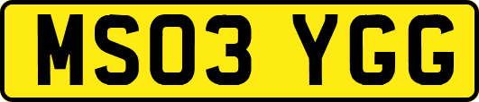 MS03YGG
