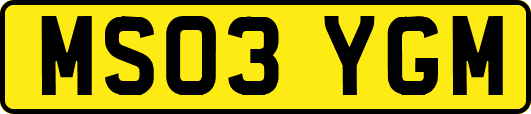 MS03YGM