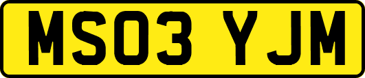 MS03YJM