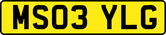 MS03YLG