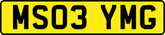 MS03YMG
