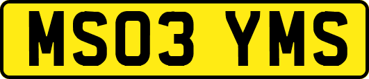 MS03YMS