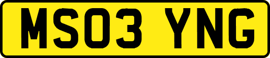 MS03YNG