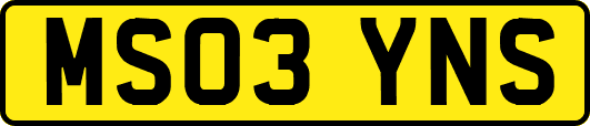 MS03YNS