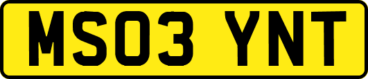 MS03YNT