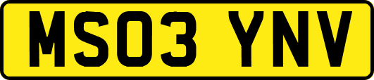 MS03YNV
