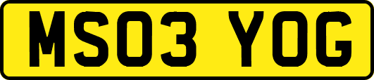 MS03YOG