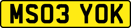 MS03YOK