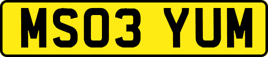 MS03YUM