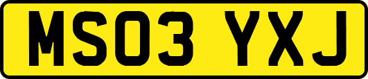 MS03YXJ
