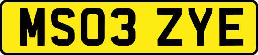 MS03ZYE