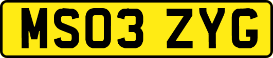 MS03ZYG