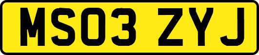 MS03ZYJ