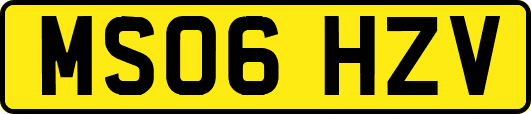 MS06HZV