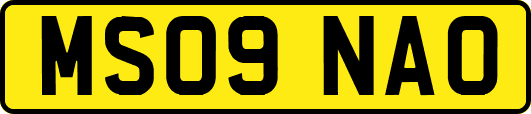 MS09NAO