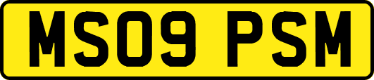 MS09PSM