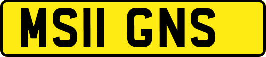 MS11GNS