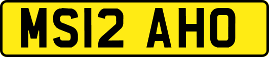 MS12AHO