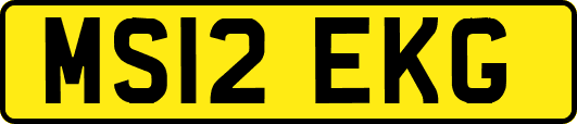 MS12EKG