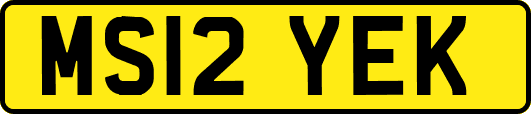 MS12YEK