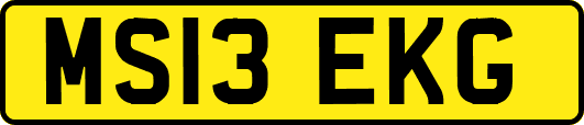 MS13EKG