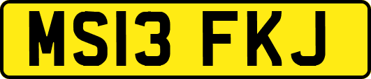 MS13FKJ