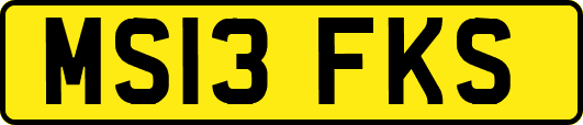 MS13FKS