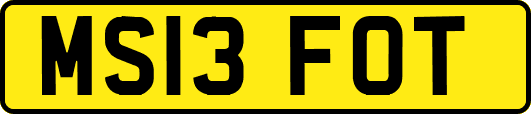 MS13FOT