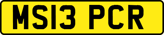 MS13PCR