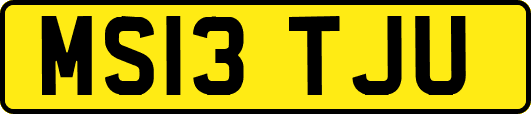 MS13TJU