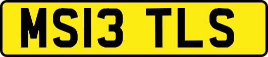 MS13TLS